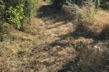 Vác- Felső Török-hegyen, a Naszály hegyre néző csodálatos panorámával kínálok eladásra belterületi építési telket!

Vác dinamikusan fejlődő részén, a Felső Török hegyi útról nyíló Törökfürdő közben, megvételre kínálok egy 1314 m2-es panorámás, kivett belterületi építési telket. A beépítetlen telek, Vác panorámás részen helyezkedik el, családi házas övezetben. M2 autóút pás perc alatt, könnyedén elérhető!

A telek szélessége 20 méter, hossza 66 méter. Megközelítése magán úton érhető el.
A telek jelenlegi állapota bokros, bozótos, helyenként gyümölcsfákkal ültetett. Megvásárlás esetén a vevő dolga a telek kitisztítása, ezért az ára nyomott.
A telken víz közmű megtalálható, közelből a villany is lecsatlakoztatható.
- Övezeti besorolása Lk-e-1 kert városias besorolású
- Beépítési módja: szabadon álló
- Maximális beépíthetősége: 15 %
- Maximális beépíthetősége terepszint alatt: 20 %
- (szintterület mutató: 0. 4 %)
- Minimális zöldterület 75 %
- Építmény magasság: minimum 3 méter, maximum 5 méter.

A telek per-, teher és igénymentes, aszfaltozott útról közelíthető meg.


Autóval pár percen belül elérhető bolt, bölcsőde, óvoda, iskola.
Az utca végén lévő buszmegállóból pár perc alatt elérhető Vác belvárosa és a vasútállomás is. Az M2 autóúton Budapest az M2 autóúton kb. 26 perc alatt elérhető.

A telek remek áron megvásárolható.

Ár: 22. 900. 000.-Ft

Tel: +36705581160

További információért és a megtekintéssel kapcsolatban, várom megtisztelő hívását!
Amiben még segíteni tudok:
- ha a vásárláshoz még el kell adnia ingatlanát
- energetikai tanúsítvány készítése 72 órán belül
- ingyenes hitelügyintézés
- jogi háttér
- földhivatali ügyintézés
- ajánlatok küldése e-mailben országos adatbázisból.
