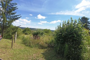 Vác- Felső Török-hegyen, a Naszály hegyre néző csodálatos panorámával kínálok eladásra belterületi építési telket!

Vác dinamikusan fejlődő részén, a Felső Török hegyi útról nyíló Törökfürdő közben, megvételre kínálok egy 1314 m2-es panorámás, kivett belterületi építési telket. A beépítetlen telek, Vác panorámás részen helyezkedik el, családi házas övezetben. M2 autóút pás perc alatt, könnyedén elérhető!

A telek szélessége 20 méter, hossza 66 méter. Megközelítése magán úton érhető el.
A telek jelenlegi állapota bokros, bozótos, helyenként gyümölcsfákkal ültetett. Megvásárlás esetén a vevő dolga a telek kitisztítása, ezért az ára nyomott.
A telken víz közmű megtalálható, közelből a villany is lecsatlakoztatható.
- Övezeti besorolása Lk-e-1 kert városias besorolású
- Beépítési módja: szabadon álló
- Maximális beépíthetősége: 15 %
- Maximális beépíthetősége terepszint alatt: 20 %
- (szintterület mutató: 0. 4 %)
- Minimális zöldterület 75 %
- Építmény magasság: minimum 3 méter, maximum 5 méter.

A telek per-, teher és igénymentes, aszfaltozott útról közelíthető meg.


Autóval pár percen belül elérhető bolt, bölcsőde, óvoda, iskola.
Az utca végén lévő buszmegállóból pár perc alatt elérhető Vác belvárosa és a vasútállomás is. Az M2 autóúton Budapest az M2 autóúton kb. 26 perc alatt elérhető.

A telek remek áron megvásárolható.

Ár: 22. 900. 000.-Ft

Tel: +36705581160

További információért és a megtekintéssel kapcsolatban, várom megtisztelő hívását!
Amiben még segíteni tudok:
- ha a vásárláshoz még el kell adnia ingatlanát
- energetikai tanúsítvány készítése 72 órán belül
- ingyenes hitelügyintézés
- jogi háttér
- földhivatali ügyintézés
- ajánlatok küldése e-mailben országos adatbázisból.
