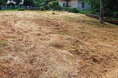 Befektetésnek is kiváló belterületi építési telek eladó Sződligeten.

Pest vármegye élhető és hangulatos településén, Sződliget egyik legkedveltebb utcájában, központi elhelyezkedéssel, a fontosabb helyi intézményektől pár perces sétára kínáljuk eladásra, ezt a rengeteg lehetőséget rejtő, egyéni kialakításoknak is teret adó 514 m2-es Lk-1-es belterületi építési telket.

Az utca is egyike azoknak, melyek a Duna-közeli nyaralóhely hangulatát megőrizték épületeikkel.

A telek alakja szabályos négyszög, felszíne sík, részlegesen bekerített. Beépítési mód: oldalhatáros.

Legnagyobb építménymagasság: 5. 5 m
Legnagyobb beépíthetőség: 30%
Közművei víz, gáz, villany és csatorna.

A településen minden megtalálható, ami a mindennapi élet kényelméhez szükséges, iskola, óvoda, bölcsőde, patika, orvosi rendelő, fogorvos, üzletek, szolgáltatások, kitűnő vonat- és buszközlekedés, hajókikötő, étterem, benzinkút és edzőterem.

Ne maradjon le erről ritka lehetőségről, ahol álmai házát megépítheti.

A telek akciós ára: 37. 900. 000.-Ft 

Tel: 06705581160, 06304800339