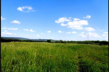 Eladásra kínálok Vácon a Felső török hegyen 48.114 m2-es mezőgazdasági területet. 