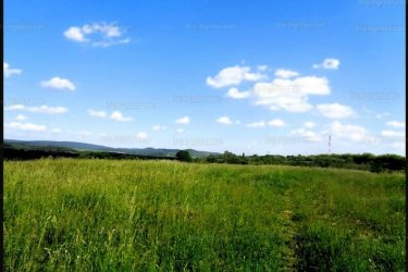 Eladásra kínálok Vácon a Felső török hegyen 48.114 m2-es mezőgazdasági területet.

A zártkerti mezőgazdasági terület MÁ, általános mezőgazdasági övezetbe tartozik, 3 helyrajzi számon 10. 686 m2 (szántó), 9.909 m2 (szántó) valamint 27.519 m2 (erdő) egymás mellett helyezkedik el, tehermentes, a földtörvény hatálya alá esik vagyis ki kell függeszteni.

1/ A 10.686 m2-es szántó szélessége: 50 méter és hosszúsága: 210 méter.

2/ A 9.909 m2-es szántó szélessége: 51 méter és hosszúsága: 191 méter.

3/ A 27.519 m2-es erdő szélessége: 170 méter és hosszúsága: 162 méter.

A mezőgazdasági területet Vác Felső Török hegyen található, kiváló elhelyezkedése miatt, egyéb más célú hasznosításra is alkalmas lehet, mint például ipari park, logisztikai park, esetleg lakópark létesítésére.

A telek, panorámás részen helyezkedik el, az M2 autóút könnyedén elérhető!

A földeket jelenleg művelik, de a mellette lévő területeket viszont már átminősítették lakóövezetté és ipari tevékenységre is.

A telek Mk építési övezetbe tartozik, ahol:
- a legnagyobb megengedett beépítettség 3%,
- a megengedett legnagyobb építménymagasság 3,5 m,
- a megengedett legkisebb építménymagasság 3 m,
- a legkisebb kialakítandó zöldfelület 90%
- a beépítés jellemző módja szabadon álló
- kialakítható legkisebb telekterület 1000 m2

Vác és Budapest is könnyedén elérhető, mind autóval, mind tömegközlekedéssel!

Irányár: 42.000.000.-Ft

További információért és a megtekintéssel kapcsolatban, várom megtisztelő hívását!
Amiben még segíteni tudok:
- ha a vásárláshoz még el kell adnia ingatlanát
- energetikai tanúsítvány készítése 72 órán belül
- ingyenes hitelügyintézés
- jogi háttér
- földhivatali ügyintézés
- értékbecslés, piaci ármeghatározás
- költöztetés, lomtalanítás
- ajánlatok küldése e-mailben országos adatbázisból.

Tel: +36705581160