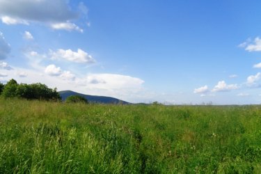 Vác Felső török hegyen 48.114 m2-es mezőgazdasági terület eladó!

Vácon 1 vagy másfél szobás lakást beszámítok az árba!!!

Eladásra kínálok Vácon a Felső török hegyen 48.114 m2-es mezőgazdasági területet.
A zártkerti mezőgazdasági terület MÁ, általános mezőgazdasági övezetbe tartozik, 3 helyrajzi számon 10. 686 m2 (szántó), 9.909 m2 (szántó) valamint 27.519 m2 (erdő) egymás mellett helyezkedik el, tehermentes, a földtörvény hatálya alá esik vagyis ki kell függeszteni.
1/ A 10.686 m2-es szántó szélessége: 50 méter és hosszúsága: 210 méter.
2/ A 9.909 m2-es szántó szélessége: 51 méter és hosszúsága: 191 méter.
3/ A 27.519 m2-es erdő szélessége: 170 méter és hosszúsága: 162 méter.
A mezőgazdasági területet Vác Felső Török hegyen található, kiváló elhelyezkedése miatt, egyéb más célú hasznosításra is alkalmas lehet, mint például ipari park, logisztikai park, esetleg lakópark létesítésére.
A telek, panorámás részen helyezkedik el, az M2 autóút könnyedén elérhető!
A földeket jelenleg művelik, de a mellette lévő területeket viszont már átminősítették lakóövezetté és ipari tevékenységre is.
A telek Mk építési övezetbe tartozik, ahol:
- a legnagyobb megengedett beépítettség 3%,
- a megengedett legnagyobb építménymagasság 3,5 m,
- a megengedett legkisebb építménymagasság 3 m,
- a legkisebb kialakítandó zöldfelület 90%
- a beépítés jellemző módja szabadon álló
- kialakítható legkisebb telekterület 1000 m2

Vác és Budapest is könnyedén elérhető, mind autóval, mind tömegközlekedéssel!

Vácon 1 vagy másfél szobás lakást beszámítok az árba!!!

Irányár: 42.000.000.-Ft

Tel: +36705581160