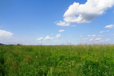 Vác Felső török hegyen 48.114 m2-es mezőgazdasági terület eladó!

Vácon 1 vagy másfél szobás lakást beszámítok az árba!!!

Eladásra kínálok Vácon a Felső török hegyen 48.114 m2-es mezőgazdasági területet.
A zártkerti mezőgazdasági terület MÁ, általános mezőgazdasági övezetbe tartozik, 3 helyrajzi számon 10. 686 m2 (szántó), 9.909 m2 (szántó) valamint 27.519 m2 (erdő) egymás mellett helyezkedik el, tehermentes, a földtörvény hatálya alá esik vagyis ki kell függeszteni.
1/ A 10.686 m2-es szántó szélessége: 50 méter és hosszúsága: 210 méter.
2/ A 9.909 m2-es szántó szélessége: 51 méter és hosszúsága: 191 méter.
3/ A 27.519 m2-es erdő szélessége: 170 méter és hosszúsága: 162 méter.
A mezőgazdasági területet Vác Felső Török hegyen található, kiváló elhelyezkedése miatt, egyéb más célú hasznosításra is alkalmas lehet, mint például ipari park, logisztikai park, esetleg lakópark létesítésére.
A telek, panorámás részen helyezkedik el, az M2 autóút könnyedén elérhető!
A földeket jelenleg művelik, de a mellette lévő területeket viszont már átminősítették lakóövezetté és ipari tevékenységre is.
A telek Mk építési övezetbe tartozik, ahol:
- a legnagyobb megengedett beépítettség 3%,
- a megengedett legnagyobb építménymagasság 3,5 m,
- a megengedett legkisebb építménymagasság 3 m,
- a legkisebb kialakítandó zöldfelület 90%
- a beépítés jellemző módja szabadon álló
- kialakítható legkisebb telekterület 1000 m2

Vác és Budapest is könnyedén elérhető, mind autóval, mind tömegközlekedéssel!

Vácon 1 vagy másfél szobás lakást beszámítok az árba!!!

Irányár: 42.000.000.-Ft

Tel: +36705581160