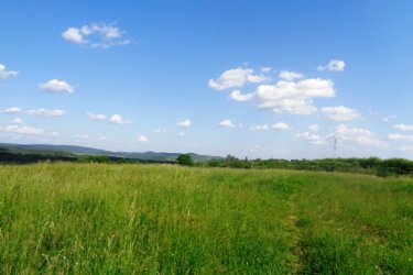 Vác Felső török hegyen 48.114 m2-es mezőgazdasági terület eladó!

Vácon 1 vagy másfél szobás lakást beszámítok az árba!!!

Eladásra kínálok Vácon a Felső török hegyen 48.114 m2-es mezőgazdasági területet.
A zártkerti mezőgazdasági terület MÁ, általános mezőgazdasági övezetbe tartozik, 3 helyrajzi számon 10. 686 m2 (szántó), 9.909 m2 (szántó) valamint 27.519 m2 (erdő) egymás mellett helyezkedik el, tehermentes, a földtörvény hatálya alá esik vagyis ki kell függeszteni.
1/ A 10.686 m2-es szántó szélessége: 50 méter és hosszúsága: 210 méter.
2/ A 9.909 m2-es szántó szélessége: 51 méter és hosszúsága: 191 méter.
3/ A 27.519 m2-es erdő szélessége: 170 méter és hosszúsága: 162 méter.
A mezőgazdasági területet Vác Felső Török hegyen található, kiváló elhelyezkedése miatt, egyéb más célú hasznosításra is alkalmas lehet, mint például ipari park, logisztikai park, esetleg lakópark létesítésére.
A telek, panorámás részen helyezkedik el, az M2 autóút könnyedén elérhető!
A földeket jelenleg művelik, de a mellette lévő területeket viszont már átminősítették lakóövezetté és ipari tevékenységre is.
A telek Mk építési övezetbe tartozik, ahol:
- a legnagyobb megengedett beépítettség 3%,
- a megengedett legnagyobb építménymagasság 3,5 m,
- a megengedett legkisebb építménymagasság 3 m,
- a legkisebb kialakítandó zöldfelület 90%
- a beépítés jellemző módja szabadon álló
- kialakítható legkisebb telekterület 1000 m2

Vác és Budapest is könnyedén elérhető, mind autóval, mind tömegközlekedéssel!

Vácon 1 vagy másfél szobás lakást beszámítok az árba!!!

Irányár: 42.000.000.-Ft

Tel: +36705581160