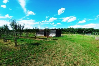 Eladó Sződ határában, 150000 m2-es mezőgazdasági terület.

Sződ határában, közel a Samsung napelem park területéhez, 150. 000 m2-es, több célú mezőgazdasági terület ELADÓ!

Eladásra kínálok Budapesttől 25 km-re M2 ( 2/A ) autópálya mellett a GÖDI lehajtójánál a Samsung gyárral szemben, egy helyrajzi számon lévő 150.000 m2-es, Má-1 besorolású övezetbe, elsődlegesen szántóföldi művelésű nagy telkes árutermelő hasznosítású területet.

Jelenlegi beépíthetőség 3%.

Az egy helyrajzi számú 150 Hektáros területen, az elmúlt évek során:
5 hektáron, bekerített területen 80 m2-es faépítésű gazdasági épület található és termő diófák és szilvafák lettek beültetve.
4. 5 hektáron, bekerített területen termő gyümölcsös (cseresznye, kajszi barack) található.

3. 5 hektár bekerítetlen zöld terület (szántó) pihentetve.

Továbbá
2 hektár erdő (30 éves akácfa kitermelhető.
A mezőgazdasági területen fúrt kút lett kialakítva.

Az Má-1 jelű övezetben a legalább:
a) 10 hektár területű szántó művelési ágba sorolt,


b) 1 hektár területű gyümölcsös és kert művelési ágba sorolt,
minimum 50 m széles telken kizárólag gazdasági épület (termény- és géptároló, feldolgozó
üzem, állattartást szolgáló épület) helyezhető el.


A szomszédos telkek már át lettek minősítve GIP-3 gazdasági- ipari övezetté.
A szomszéd területen napelem park található.
Az ingatlan átminősítése után alkalmas lehet, olyan gazdasági tevékenységi célú épületek elhelyezésére, szolgáltatások szervezett létrehozására és működtetésére.

A mezőgazdasági terület kiváló elhelyezkedése révén, gépkocsival és tömegközlekedéssel is elérhető, Budapest irányából megközelíthető a 2-es főúton és az m2 (régi nevén 2/A)

Irányár: 320.000.000.-Ft

További információért és a megtekintéssel kapcsolatban, várom megtisztelő hívását!
Amiben még segíteni tudok:
- ha a vásárláshoz még el kell adnia ingatlanát
- energetikai tanúsítvány készítése 72 órán belül
- ingyenes hitelügyintézés
- jogi háttér
- földhivatali ügyintézés
- értékbecslés, piaci ármeghatározás
- költöztetés, lomtalanítás
- ajánlatok küldése e-mailben országos adatbázisból.

Tel: +36705581160