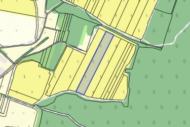 Eladásra kínálok Szendehelyen a Naszály hegy (mészkő) lábánál található, “Új föld” szőlős területen lévő, 11. 700 m2-es Zweigelt fajtával beültetett szőlőterület.

A szőlő ültetvény 11. 700 m2 (25. 93 Arany Korona értékű) mezőgazdasági területen található.
A mezőgazdasági terület szélessége 30 méter, hosszúsága 390 méter.

A szőlős folyamatosan művelve.

Megvásárlása esetén a mezőgazdasági területekre vonatkozó szabályok vonatkoznak.

Mivel a terület nagysága eléri az 1 hektárt, így az végzettség és gazdálkodói igazolvány szükséges a megvásárlásához!

A terület jellemzői:

Szendehely, a Felső-Magyarország Borrégióhoz tartozik, ezen belül pedig a Mátrai borvidékhez.
A többi régióhoz képest itt hűvösebb a klíma, kevesebb a csapadék és változatos a talajadottság, ami a borok frissességét, gyümölcsös illatát eredményezi.

Ajánlom olyan személynek vagy kisebb vállalkozásnak, aki szőlőműveléssel szeretne foglalkozni.

REMEK LEHETŐSÉG!

Ár: 4. 500. 000.-Ft     ALKU NINCS

További információért és a megtekintéssel kapcsolatban, várom megtisztelő hívását!

Amiben még segíteni tudok:

- ha a vásárláshoz még el kell adnia ingatlanát
- energetikai tanúsítvány készítése 72 órán belül
- ingyenes hitelügyintézés
- jogi háttér
- földhivatali ügyintézés
- értékbecslés, piaci ármeghatározás
- költöztetés, lomtalanítás
- ajánlatok küldése e-mailben országos adatbázisból.

Tel: +36705581160