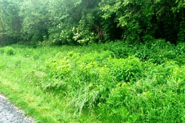 Eladó 10.403 m2-es zártkerti gyümölcsös és szántó Vác Gombás dűlőben.

Vác - Gombás dűlő részén a Szarvasbogár utcában, eladásra kínálok 10. 403 m2-es zártkerti telket, tulajdoni lap szerint Zártkert, gyümölcsös rendezetlen funkciójú épület és szántó megnevezésű ingatlan. 
A terület a város felől a Gombási útról közelíthető meg, Gombásnál lekanyarodva murvás úton autóval megközelíthető. (még esős időben is).
Az egy helyrajzi számú telken 5676 m2-es gyümölcsös és 4727 m2-es szántó található.

A telek alsó része kb. 50 méter hosszúságban lapos terület, majd onnan fokozatosan emelkedik és a felső részen szintén lapos (ahonnan csodálatos panorámás kilátás nyílik a Dunakanyarra és Vác városára. 
A telek beépíthetősége 3 %, a telken gyűrűs kút van és a szélén található villanyoszlopról az áram bevezethető.
A telek szélessége 50 méter és a hosszúsága 208 méter.

A földúton megközelíthető telket az elmúlt években nem kezelték, így a terület megritkítása a leendő tulajdonosra vár.

A Szarvasbogár utcában állandó családok is laknak, nagyon jó összetartó közösséggel.
5 perc gyalogos távolságra a buszmegállótól, autóval közlekedve pedig szintén 5 perc alatt megközelíthető Vác központja. 

A telek méretéből adódóan kiváló lehetőség rejlik, akár bio gazdaság, mezőgazdasági vállalkozás, nyaraló vagy tanya kialakításra.

Irányár: 18. 500. 000.-Ft

további információért és a megtekintéssel kapcsolatban, várom megtisztelő hívását!

Amiben még segíteni tudok:

– ha a vásárláshoz még el kell adnia ingatlanát
– energetikai tanúsítvány készítése 72 órán belül
– ingyenes hitelügyintézés
– jogi háttér
– földhivatali ügyintézés
– értékbecslés, piaci ármeghatározás
– költöztetés, lomtalanítás
– ajánlatok küldése e-mailben országos adatbázisból.

Tel: +36705581160
 


