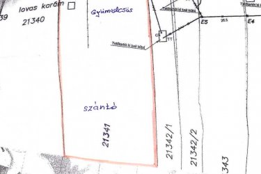 Eladó 10.403 m2-es zártkerti gyümölcsös és szántó Vác Gombás dűlőben.

Vác - Gombás dűlő részén a Szarvasbogár utcában, eladásra kínálok 10. 403 m2-es zártkerti telket, tulajdoni lap szerint Zártkert, gyümölcsös rendezetlen funkciójú épület és szántó megnevezésű ingatlan. 
A terület a város felől a Gombási útról közelíthető meg, Gombásnál lekanyarodva murvás úton autóval megközelíthető. (még esős időben is).
Az egy helyrajzi számú telken 5676 m2-es gyümölcsös és 4727 m2-es szántó található.

A telek alsó része kb. 50 méter hosszúságban lapos terület, majd onnan fokozatosan emelkedik és a felső részen szintén lapos (ahonnan csodálatos panorámás kilátás nyílik a Dunakanyarra és Vác városára. 
A telek beépíthetősége 3 %, a telken gyűrűs kút van és a szélén található villanyoszlopról az áram bevezethető.
A telek szélessége 50 méter és a hosszúsága 208 méter.

A földúton megközelíthető telket az elmúlt években nem kezelték, így a terület megritkítása a leendő tulajdonosra vár.

A Szarvasbogár utcában állandó családok is laknak, nagyon jó összetartó közösséggel.
5 perc gyalogos távolságra a buszmegállótól, autóval közlekedve pedig szintén 5 perc alatt megközelíthető Vác központja. 

A telek méretéből adódóan kiváló lehetőség rejlik, akár bio gazdaság, mezőgazdasági vállalkozás, nyaraló vagy tanya kialakításra.

Irányár: 18. 500. 000.-Ft

további információért és a megtekintéssel kapcsolatban, várom megtisztelő hívását!

Amiben még segíteni tudok:

– ha a vásárláshoz még el kell adnia ingatlanát
– energetikai tanúsítvány készítése 72 órán belül
– ingyenes hitelügyintézés
– jogi háttér
– földhivatali ügyintézés
– értékbecslés, piaci ármeghatározás
– költöztetés, lomtalanítás
– ajánlatok küldése e-mailben országos adatbázisból.

Tel: +36705581160
 


