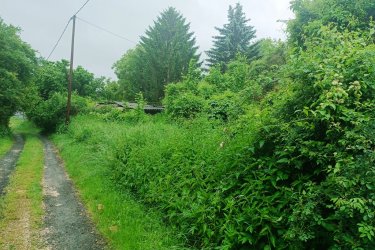 Eladó 10.403 m2-es zártkerti gyümölcsös és szántó Vác Gombás dűlőben.