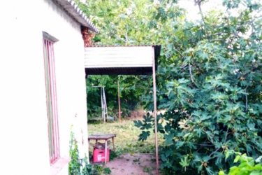 Tóparthoz közeli lakóház Délegyházán – 80 méterre a víztől!

Délegyháza egyik kedvelt, csendes utcájában – a Fagyöngy utcában – eladásra kínálok egy 336 m²- s telken álló, 50 m²- s, másfél szobás családi házat, mindössze 80 méterre a horgásztótól.

Az ingatlan belterületi, kivett lakóház és udvar besorolású, per- és tehermentes, egyetlen tulajdonostól.

A ház a ’70-es évek végén téglából épült, jelenleg felújítandó állapotban van, így új tulajdonosa saját igényei szerint formálhatja.

Közművek: víz, villany, gáz, csatorna rendelkezésre állnak.

Az udvarban 3 autó számára is kényelmes parkolási lehetőség adott.

A belső tér elrendezése:

• üvegezett veranda,
• nappali (14 m²),
• hálószoba (6 m²),
• kádas fürdőszoba (4 m²),
• étkező (5 m²),
• konyha (10 m²),
• kazánház (3 m²) és tároló (2,5 m²).

A természet szerelmeseinek ideális választás — a háztól pár lépésre nagy kiterjedésű horgásztó, a közelben pedig a Kiskunsági Nemzeti Park, az Ócsai Tájvédelmi Körzet és a Ráckevei-Duna található.

Tökéletes otthon vagy nyaraló azoknak, akik a nyugalmat, a vízpart közelségét és a természetet keresik.

A környék igazi természeti kincs: tizenkét kavicsbánya-tó, a Kiskunsági Nemzeti Park és a Ráckevei-Duna közelsége varázslatos hangulatot teremt.

Ha egy helyet keresel, ahol lelassulhat az idő, ez az ingatlan tökéletes kiindulópont lehet álmaid otthonához.

Ár: 35. 000. 000 Ft

További szolgáltatások:

– Ingatlaneladásban segítség
– Energetikai tanúsítvány 72 órán belül
– Ingyenes hitelügyintézés
– Jogi háttér és földhivatali ügyintézés
– Országos adatbázisból e-mailes ajánlatküldés

Tel: +36705581160