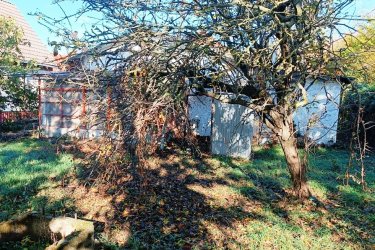 Tóparthoz közeli lakóház Délegyházán – 80 méterre a víztől!

Délegyháza egyik kedvelt, csendes utcájában – a Fagyöngy utcában – eladásra kínálok egy 336 m²- s telken álló, 50 m²- s, másfél szobás családi házat, mindössze 80 méterre a horgásztótól.

Az ingatlan belterületi, kivett lakóház és udvar besorolású, per- és tehermentes, egyetlen tulajdonostól.

A ház a ’70-es évek végén téglából épült, jelenleg felújítandó állapotban van, így új tulajdonosa saját igényei szerint formálhatja.

Közművek: víz, villany, gáz, csatorna rendelkezésre állnak.

Az udvarban 3 autó számára is kényelmes parkolási lehetőség adott.

A belső tér elrendezése:

• üvegezett veranda,
• nappali (14 m²),
• hálószoba (6 m²),
• kádas fürdőszoba (4 m²),
• étkező (5 m²),
• konyha (10 m²),
• kazánház (3 m²) és tároló (2,5 m²).

A természet szerelmeseinek ideális választás — a háztól pár lépésre nagy kiterjedésű horgásztó, a közelben pedig a Kiskunsági Nemzeti Park, az Ócsai Tájvédelmi Körzet és a Ráckevei-Duna található.

Tökéletes otthon vagy nyaraló azoknak, akik a nyugalmat, a vízpart közelségét és a természetet keresik.

A környék igazi természeti kincs: tizenkét kavicsbánya-tó, a Kiskunsági Nemzeti Park és a Ráckevei-Duna közelsége varázslatos hangulatot teremt.

Ha egy helyet keresel, ahol lelassulhat az idő, ez az ingatlan tökéletes kiindulópont lehet álmaid otthonához.

Ár: 35. 000. 000 Ft

További szolgáltatások:

– Ingatlaneladásban segítség
– Energetikai tanúsítvány 72 órán belül
– Ingyenes hitelügyintézés
– Jogi háttér és földhivatali ügyintézés
– Országos adatbázisból e-mailes ajánlatküldés

Tel: +36705581160