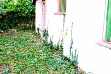 Tóparthoz közeli lakóház Délegyházán – 80 méterre a víztől!

Délegyháza egyik kedvelt, csendes utcájában – a Fagyöngy utcában – eladásra kínálok egy 336 m²- s telken álló, 50 m²- s, másfél szobás családi házat, mindössze 80 méterre a horgásztótól.

Az ingatlan belterületi, kivett lakóház és udvar besorolású, per- és tehermentes, egyetlen tulajdonostól.

A ház a ’70-es évek végén téglából épült, jelenleg felújítandó állapotban van, így új tulajdonosa saját igényei szerint formálhatja.

Közművek: víz, villany, gáz, csatorna rendelkezésre állnak.

Az udvarban 3 autó számára is kényelmes parkolási lehetőség adott.

A belső tér elrendezése:

• üvegezett veranda,
• nappali (14 m²),
• hálószoba (6 m²),
• kádas fürdőszoba (4 m²),
• étkező (5 m²),
• konyha (10 m²),
• kazánház (3 m²) és tároló (2,5 m²).

A természet szerelmeseinek ideális választás — a háztól pár lépésre nagy kiterjedésű horgásztó, a közelben pedig a Kiskunsági Nemzeti Park, az Ócsai Tájvédelmi Körzet és a Ráckevei-Duna található.

Tökéletes otthon vagy nyaraló azoknak, akik a nyugalmat, a vízpart közelségét és a természetet keresik.

A környék igazi természeti kincs: tizenkét kavicsbánya-tó, a Kiskunsági Nemzeti Park és a Ráckevei-Duna közelsége varázslatos hangulatot teremt.

Ha egy helyet keresel, ahol lelassulhat az idő, ez az ingatlan tökéletes kiindulópont lehet álmaid otthonához.

Ár: 35. 000. 000 Ft

További szolgáltatások:

– Ingatlaneladásban segítség
– Energetikai tanúsítvány 72 órán belül
– Ingyenes hitelügyintézés
– Jogi háttér és földhivatali ügyintézés
– Országos adatbázisból e-mailes ajánlatküldés

Tel: +36705581160