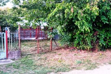 Tóparthoz közeli lakóház Délegyházán – 80 méterre a víztől!

Délegyháza egyik kedvelt, csendes utcájában – a Fagyöngy utcában – eladásra kínálok egy 336 m²- s telken álló, 50 m²- s, másfél szobás családi házat, mindössze 80 méterre a horgásztótól.

Az ingatlan belterületi, kivett lakóház és udvar besorolású, per- és tehermentes, egyetlen tulajdonostól.

A ház a ’70-es évek végén téglából épült, jelenleg felújítandó állapotban van, így új tulajdonosa saját igényei szerint formálhatja.

Közművek: víz, villany, gáz, csatorna rendelkezésre állnak.

Az udvarban 3 autó számára is kényelmes parkolási lehetőség adott.

A belső tér elrendezése:

• üvegezett veranda,
• nappali (14 m²),
• hálószoba (6 m²),
• kádas fürdőszoba (4 m²),
• étkező (5 m²),
• konyha (10 m²),
• kazánház (3 m²) és tároló (2,5 m²).

A természet szerelmeseinek ideális választás — a háztól pár lépésre nagy kiterjedésű horgásztó, a közelben pedig a Kiskunsági Nemzeti Park, az Ócsai Tájvédelmi Körzet és a Ráckevei-Duna található.

Tökéletes otthon vagy nyaraló azoknak, akik a nyugalmat, a vízpart közelségét és a természetet keresik.

A környék igazi természeti kincs: tizenkét kavicsbánya-tó, a Kiskunsági Nemzeti Park és a Ráckevei-Duna közelsége varázslatos hangulatot teremt.

Ha egy helyet keresel, ahol lelassulhat az idő, ez az ingatlan tökéletes kiindulópont lehet álmaid otthonához.

Ár: 35. 000. 000 Ft

További szolgáltatások:

– Ingatlaneladásban segítség
– Energetikai tanúsítvány 72 órán belül
– Ingyenes hitelügyintézés
– Jogi háttér és földhivatali ügyintézés
– Országos adatbázisból e-mailes ajánlatküldés

Tel: +36705581160