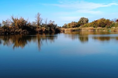 Tóparthoz közeli lakóház Délegyházán – 80 méterre a víztől!

Délegyháza egyik kedvelt, csendes utcájában – a Fagyöngy utcában – eladásra kínálok egy 336 m²- s telken álló, 50 m²- s, másfél szobás családi házat, mindössze 80 méterre a horgásztótól.

Az ingatlan belterületi, kivett lakóház és udvar besorolású, per- és tehermentes, egyetlen tulajdonostól.

A ház a ’70-es évek végén téglából épült, jelenleg felújítandó állapotban van, így új tulajdonosa saját igényei szerint formálhatja.

Közművek: víz, villany, gáz, csatorna rendelkezésre állnak.

Az udvarban 3 autó számára is kényelmes parkolási lehetőség adott.

A belső tér elrendezése:

• üvegezett veranda,
• nappali (14 m²),
• hálószoba (6 m²),
• kádas fürdőszoba (4 m²),
• étkező (5 m²),
• konyha (10 m²),
• kazánház (3 m²) és tároló (2,5 m²).

A természet szerelmeseinek ideális választás — a háztól pár lépésre nagy kiterjedésű horgásztó, a közelben pedig a Kiskunsági Nemzeti Park, az Ócsai Tájvédelmi Körzet és a Ráckevei-Duna található.

Tökéletes otthon vagy nyaraló azoknak, akik a nyugalmat, a vízpart közelségét és a természetet keresik.

A környék igazi természeti kincs: tizenkét kavicsbánya-tó, a Kiskunsági Nemzeti Park és a Ráckevei-Duna közelsége varázslatos hangulatot teremt.

Ha egy helyet keresel, ahol lelassulhat az idő, ez az ingatlan tökéletes kiindulópont lehet álmaid otthonához.

Ár: 35. 000. 000 Ft

További szolgáltatások:

– Ingatlaneladásban segítség
– Energetikai tanúsítvány 72 órán belül
– Ingyenes hitelügyintézés
– Jogi háttér és földhivatali ügyintézés
– Országos adatbázisból e-mailes ajánlatküldés

Tel: +36705581160