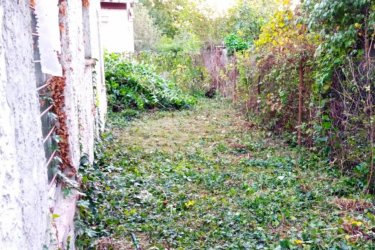 Tóparthoz közeli lakóház Délegyházán – 80 méterre a víztől!   Tóparthoz közeli lakóház Délegyházán – 80 méterre a víztől!
Délegyháza egyik kedvelt, csendes utcájában – a Fagyöngy utcában – eladásra kínálok egy 336 m²- s telken álló, 50 m²- s, másfél szobás családi házat, mindössze 80 méterre a horgásztótól.
Az ingatlan belterületi, kivett lakóház és udvar besorolású, per- és tehermentes, egyetlen tulajdonostól.
A ház a ’70-es évek végén téglából épült, jelenleg felújítandó állapotban van, így új tulajdonosa saját igényei szerint formálhatja.
Közművek: víz, villany, gáz, csatorna rendelkezésre állnak.
Az udvarban 3 autó számára is kényelmes parkolási lehetőség adott.
A belső tér elrendezése:
• üvegezett veranda,
• nappali (14 m²),
• hálószoba (6 m²),
• kádas fürdőszoba (4 m²),
• étkező (5 m²),
• konyha (10 m²),
• kazánház (3 m²) és tároló (2,5 m²).
A természet szerelmeseinek ideális választás — a háztól pár lépésre nagy kiterjedésű horgásztó, a közelben pedig a Kiskunsági Nemzeti Park, az Ócsai Tájvédelmi Körzet és a Ráckevei-Duna található.
Tökéletes otthon vagy nyaraló azoknak, akik a nyugalmat, a vízpart közelségét és a természetet keresik.
A környék igazi természeti kincs: tizenkét kavicsbánya-tó, a Kiskunsági Nemzeti Park és a Ráckevei-Duna közelsége varázslatos hangulatot teremt.
Ha egy helyet keresel, ahol lelassulhat az idő, ez az ingatlan tökéletes kiindulópont lehet álmaid otthonához.
Ár: 35. 000. 000 Ft
További szolgáltatások:
– Ingatlaneladásban segítség
– Energetikai tanúsítvány 72 órán belül
– Ingyenes hitelügyintézés
– Jogi háttér és földhivatali ügyintézés
– Országos adatbázisból e-mailes ajánlatküldés
Tel: +36705581160