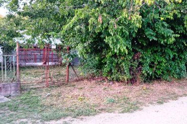 Tóparthoz közeli lakóház Délegyházán – 80 méterre a víztől!   Tóparthoz közeli lakóház Délegyházán – 80 méterre a víztől!
Délegyháza egyik kedvelt, csendes utcájában – a Fagyöngy utcában – eladásra kínálok egy 336 m²- s telken álló, 50 m²- s, másfél szobás családi házat, mindössze 80 méterre a horgásztótól.
Az ingatlan belterületi, kivett lakóház és udvar besorolású, per- és tehermentes, egyetlen tulajdonostól.
A ház a ’70-es évek végén téglából épült, jelenleg felújítandó állapotban van, így új tulajdonosa saját igényei szerint formálhatja.
Közművek: víz, villany, gáz, csatorna rendelkezésre állnak.
Az udvarban 3 autó számára is kényelmes parkolási lehetőség adott.
A belső tér elrendezése:
• üvegezett veranda,
• nappali (14 m²),
• hálószoba (6 m²),
• kádas fürdőszoba (4 m²),
• étkező (5 m²),
• konyha (10 m²),
• kazánház (3 m²) és tároló (2,5 m²).
A természet szerelmeseinek ideális választás — a háztól pár lépésre nagy kiterjedésű horgásztó, a közelben pedig a Kiskunsági Nemzeti Park, az Ócsai Tájvédelmi Körzet és a Ráckevei-Duna található.
Tökéletes otthon vagy nyaraló azoknak, akik a nyugalmat, a vízpart közelségét és a természetet keresik.
A környék igazi természeti kincs: tizenkét kavicsbánya-tó, a Kiskunsági Nemzeti Park és a Ráckevei-Duna közelsége varázslatos hangulatot teremt.
Ha egy helyet keresel, ahol lelassulhat az idő, ez az ingatlan tökéletes kiindulópont lehet álmaid otthonához.
Ár: 35. 000. 000 Ft
További szolgáltatások:
– Ingatlaneladásban segítség
– Energetikai tanúsítvány 72 órán belül
– Ingyenes hitelügyintézés
– Jogi háttér és földhivatali ügyintézés
– Országos adatbázisból e-mailes ajánlatküldés
Tel: +36705581160