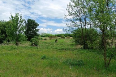 Eladásra kínálok 15000 m2-es MÁ jelű általános mezőgazdasági övezeti telket. e-mailben országos adatbázisból. 