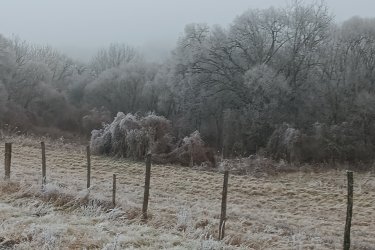 Eladó 100000 m2-es mezőgazdasági övezeti telket Őrbottyánban.