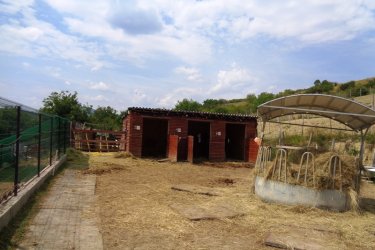 Remek kivitelezésű panorámás családi ház, 3756 m2-es telekkel eladó Rádon.

Vác városától 10 km-re Rád csendes utcájában, csodálatos környezetben, eladásra kínálok 779 m2-es bekerített telken, 140 m2-es kétszintes 2017-ben átadott remek állapotban lévő családi házat külön helyrajzi számon, melynek lakóház udvar a besorolása. A családi ház folytatásában, hozzátartozik külön helyrajzi számon, 3756 m2-es belterületi, kivett beépítetlen terület.
Az ingatlan teljes közművekkel rendelkezik (víz, villany, gáz, csatorna megtalálható).
A lakóingatlan Porotherm 30-as téglából épült, gerendás födémmel és Bramac cserépborítással. Az ingatlan földszintjén padlófűtéses, amerikai konyhás nagy méretű nappali étkezővel, WC, fürdőszoba és az emeleti részén tetőteres nagyszoba 2 db hálószoba valamint épített kabinos fürdőszoba lett kialakítva.
A lakóépület fűtése gázcirkóról működik, radiátoros hő leadással.

A ház folytatásában garázs található, ami szobának is kialakítható, továbbá a telek hátsó részében 30 m2-es garzonlakás lett építve, amit lovászlakásnak használtak, ami felújításra szorul.

Az elkerített családi ház mögött, 3756 m2-es telken állattartás folyik, melyen dupla istálló, szénatároló, külön osztható póni istálló lett kialakítva.
A kert városias lakóövezetben lévő telek legnagyobb beépíthetősége 25 , a legnagyobb építmény magasság 6 méter.

Ajánlom olyan családnak, akik szeretik a vidék varázsát, az állatokat és látnak benne fantáziát a mezőgazdasági tanya tovább fejlesztésre.

Rád 10 km-re van Váctól és a Vác-Budapest közötti óránkét induló zónázó vonattal, 25 perc alatt elérhető a Nyugati pályaudvar.

Az M2-es autópálya átalakítása elkészült, így autóval 30 perc alatt Budapest megközelíthető.

Ár: 140. 000. 000.-Ft

Amennyiben még nem sikerült eladni ingatlanát, kedvezményes feltételekkel vállaljuk annak értékesítését, hogy Ön mihamarabb beköltözhessen álmai otthonába.

Hitelügyintézés, értékbecslés, helyszíni felmérés, címkiadás, tanácsadás.
Energetikai Tanúsítvány Készítése.

Tel: 06-70-558-1160
Tel: 06-30-480-0339