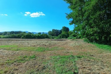 Eladó 1360 m2-es mezőgazdasági telek Göd-Nevelekben.

A Göd- Nevelek részén a Nádirigó utcában, 8000 m2-es MK-1-es besorolású mezőgazdasági telken, 5 darab 1360 m2-es telkek kerülnek eladásra a természeti értékek megtartása mellett.

A telek utcafronti része 22.6 méter, hossza 60 méter.
Az építtető az 1360 m2-es telekből, 1200 m2 zöldterületet hagyja meg és a telek végében 160 m2-en kis tavat épít.

Beépíthetősége 3 %.

A későbbiek során átminősíthető szabadidős tevékenységre, ahol a tulajdonos gyönyörködhet a természet közeli növények, madarak látványában és kikapcsolódhat a saját megtervezett telkén.

Ajánlom olyan vállalkozó szellemű embereknek, akik szeretik a csendet, a kikapcsolódást.

Akár befektetésnek.

Ár: 68.000.000.-Ft / telek

További információért és a megtekintéssel kapcsolatban, várom megtisztelő hívását!

Amiben még segíteni tudok:

- ha a vásárláshoz még el kell adnia ingatlanát
- energetikai tanúsítvány készítése 72 órán belül
- ingyenes hitelügyintézés
- jogi háttér
- földhivatali ügyintézés
- értékbecslés, piaci ármeghatározás
- költöztetés, lomtalanítás
- ajánlatok küldése e-mailben országos adatbázisból.

Tel: +36705581160, +36304800339
