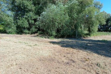 Eladó 1360 m2-es mezőgazdasági telek Göd-Nevelekben.

A Göd- Nevelek részén a Nádirigó utcában, 8000 m2-es MK-1-es besorolású mezőgazdasági telken, 5 darab 1360 m2-es telkek kerülnek eladásra a természeti értékek megtartása mellett.

A telek utcafronti része 22.6 méter, hossza 60 méter.
Az építtető az 1360 m2-es telekből, 1200 m2 zöldterületet hagyja meg és a telek végében 160 m2-en kis tavat épít.

Beépíthetősége 3 %.

A későbbiek során átminősíthető szabadidős tevékenységre, ahol a tulajdonos gyönyörködhet a természet közeli növények, madarak látványában és kikapcsolódhat a saját megtervezett telkén.

Ajánlom olyan vállalkozó szellemű embereknek, akik szeretik a csendet, a kikapcsolódást.

Akár befektetésnek.

Ár: 68.000.000.-Ft / telek

További információért és a megtekintéssel kapcsolatban, várom megtisztelő hívását!

Amiben még segíteni tudok:

- ha a vásárláshoz még el kell adnia ingatlanát
- energetikai tanúsítvány készítése 72 órán belül
- ingyenes hitelügyintézés
- jogi háttér
- földhivatali ügyintézés
- értékbecslés, piaci ármeghatározás
- költöztetés, lomtalanítás
- ajánlatok küldése e-mailben országos adatbázisból.

Tel: +36705581160, +36304800339