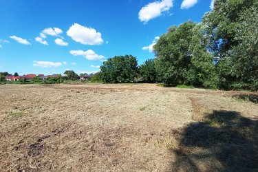 Eladó 1360 m2-es mezőgazdasági telek Göd-Nevelekben.

A Göd- Nevelek részén a Nádirigó utcában, 8000 m2-es MK-1-es besorolású mezőgazdasági telken, 5 darab 1360 m2-es telkek kerülnek eladásra a természeti értékek megtartása mellett.

A telek utcafronti része 22.6 méter, hossza 60 méter.
Az építtető az 1360 m2-es telekből, 1200 m2 zöldterületet hagyja meg és a telek végében 160 m2-en kis tavat épít.

Beépíthetősége 3 %.

A későbbiek során átminősíthető szabadidős tevékenységre, ahol a tulajdonos gyönyörködhet a természet közeli növények, madarak látványában és kikapcsolódhat a saját megtervezett telkén.

Ajánlom olyan vállalkozó szellemű embereknek, akik szeretik a csendet, a kikapcsolódást.

Akár befektetésnek.

Ár: 68.000.000.-Ft / telek

További információért és a megtekintéssel kapcsolatban, várom megtisztelő hívását!

Amiben még segíteni tudok:

- ha a vásárláshoz még el kell adnia ingatlanát
- energetikai tanúsítvány készítése 72 órán belül
- ingyenes hitelügyintézés
- jogi háttér
- földhivatali ügyintézés
- értékbecslés, piaci ármeghatározás
- költöztetés, lomtalanítás
- ajánlatok küldése e-mailben országos adatbázisból.

Tel: +36705581160, +36304800339