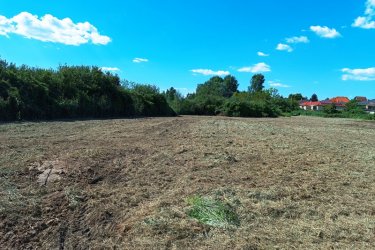 Eladó 1360 m2-es mezőgazdasági telek Göd-Nevelekben.

A Göd- Nevelek részén a Nádirigó utcában, 8000 m2-es MK-1-es besorolású mezőgazdasági telken, 5 darab 1360 m2-es telkek kerülnek eladásra a természeti értékek megtartása mellett.

A telek utcafronti része 22.6 méter, hossza 60 méter.
Az építtető az 1360 m2-es telekből, 1200 m2 zöldterületet hagyja meg és a telek végében 160 m2-en kis tavat épít.

Beépíthetősége 3 %.

A későbbiek során átminősíthető szabadidős tevékenységre, ahol a tulajdonos gyönyörködhet a természet közeli növények, madarak látványában és kikapcsolódhat a saját megtervezett telkén.

Ajánlom olyan vállalkozó szellemű embereknek, akik szeretik a csendet, a kikapcsolódást.

Akár befektetésnek.

Ár: 68.000.000.-Ft / telek

További információért és a megtekintéssel kapcsolatban, várom megtisztelő hívását!

Amiben még segíteni tudok:

- ha a vásárláshoz még el kell adnia ingatlanát
- energetikai tanúsítvány készítése 72 órán belül
- ingyenes hitelügyintézés
- jogi háttér
- földhivatali ügyintézés
- értékbecslés, piaci ármeghatározás
- költöztetés, lomtalanítás
- ajánlatok küldése e-mailben országos adatbázisból.

Tel: +36705581160, +36304800339