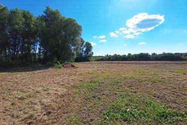 Eladó 1360 m2-es mezőgazdasági telek Göd-Nevelekben.

A Göd- Nevelek részén a Nádirigó utcában, 8000 m2-es MK-1-es besorolású mezőgazdasági telken, 5 darab 1360 m2-es telkek kerülnek eladásra a természeti értékek megtartása mellett.

A telek utcafronti része 22.6 méter, hossza 60 méter.
Az építtető az 1360 m2-es telekből, 1200 m2 zöldterületet hagyja meg és a telek végében 160 m2-en kis tavat épít.

Beépíthetősége 3 %.

A későbbiek során átminősíthető szabadidős tevékenységre, ahol a tulajdonos gyönyörködhet a természet közeli növények, madarak látványában és kikapcsolódhat a saját megtervezett telkén.

Ajánlom olyan vállalkozó szellemű embereknek, akik szeretik a csendet, a kikapcsolódást.

Akár befektetésnek.

Ár: 68.000.000.-Ft / telek

További információért és a megtekintéssel kapcsolatban, várom megtisztelő hívását!

Amiben még segíteni tudok:

- ha a vásárláshoz még el kell adnia ingatlanát
- energetikai tanúsítvány készítése 72 órán belül
- ingyenes hitelügyintézés
- jogi háttér
- földhivatali ügyintézés
- értékbecslés, piaci ármeghatározás
- költöztetés, lomtalanítás
- ajánlatok küldése e-mailben országos adatbázisból.

Tel: +36705581160, +36304800339