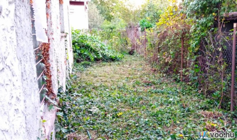 Tóparthoz közeli lakóház Délegyházán – 80 méterre a víztől!   Tóparthoz közeli lakóház Délegyházán – 80 méterre a víztől!
Délegyháza egyik kedvelt, csendes utcájában – a Fagyöngy utcában – eladásra kínálok egy 336 m²- s telken álló, 50 m²- s, másfél szobás családi házat, mindössze 80 méterre a horgásztótól.
Az ingatlan belterületi, kivett lakóház és udvar besorolású, per- és tehermentes, egyetlen tulajdonostól.
A ház a ’70-es évek végén téglából épült, jelenleg felújítandó állapotban van, így új tulajdonosa saját igényei szerint formálhatja.
Közművek: víz, villany, gáz, csatorna rendelkezésre állnak.
Az udvarban 3 autó számára is kényelmes parkolási lehetőség adott.
A belső tér elrendezése:
• üvegezett veranda,
• nappali (14 m²),
• hálószoba (6 m²),
• kádas fürdőszoba (4 m²),
• étkező (5 m²),
• konyha (10 m²),
• kazánház (3 m²) és tároló (2,5 m²).
A természet szerelmeseinek ideális választás — a háztól pár lépésre nagy kiterjedésű horgásztó, a közelben pedig a Kiskunsági Nemzeti Park, az Ócsai Tájvédelmi Körzet és a Ráckevei-Duna található.
Tökéletes otthon vagy nyaraló azoknak, akik a nyugalmat, a vízpart közelségét és a természetet keresik.
A környék igazi természeti kincs: tizenkét kavicsbánya-tó, a Kiskunsági Nemzeti Park és a Ráckevei-Duna közelsége varázslatos hangulatot teremt.
Ha egy helyet keresel, ahol lelassulhat az idő, ez az ingatlan tökéletes kiindulópont lehet álmaid otthonához.
Ár: 35. 000. 000 Ft
További szolgáltatások:
– Ingatlaneladásban segítség
– Energetikai tanúsítvány 72 órán belül
– Ingyenes hitelügyintézés
– Jogi háttér és földhivatali ügyintézés
– Országos adatbázisból e-mailes ajánlatküldés
Tel: +36705581160