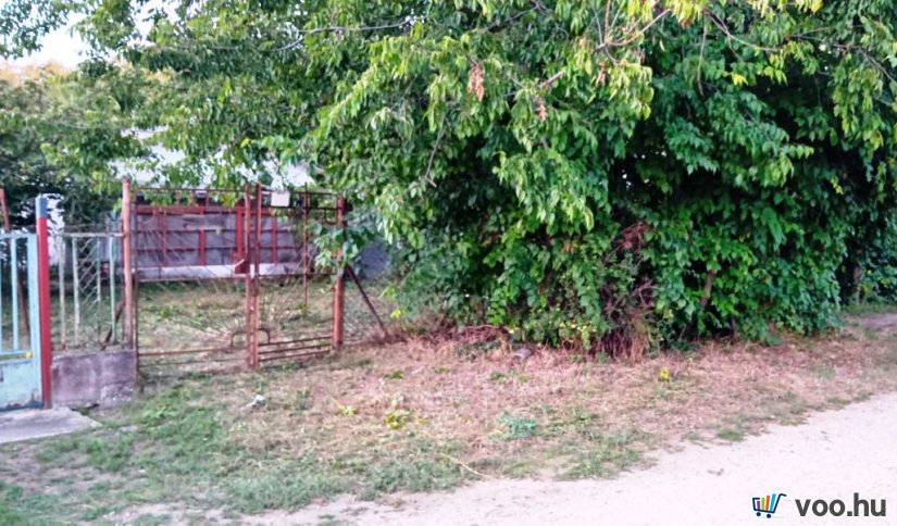 Tóparthoz közeli lakóház Délegyházán – 80 méterre a víztől!   Tóparthoz közeli lakóház Délegyházán – 80 méterre a víztől!
Délegyháza egyik kedvelt, csendes utcájában – a Fagyöngy utcában – eladásra kínálok egy 336 m²- s telken álló, 50 m²- s, másfél szobás családi házat, mindössze 80 méterre a horgásztótól.
Az ingatlan belterületi, kivett lakóház és udvar besorolású, per- és tehermentes, egyetlen tulajdonostól.
A ház a ’70-es évek végén téglából épült, jelenleg felújítandó állapotban van, így új tulajdonosa saját igényei szerint formálhatja.
Közművek: víz, villany, gáz, csatorna rendelkezésre állnak.
Az udvarban 3 autó számára is kényelmes parkolási lehetőség adott.
A belső tér elrendezése:
• üvegezett veranda,
• nappali (14 m²),
• hálószoba (6 m²),
• kádas fürdőszoba (4 m²),
• étkező (5 m²),
• konyha (10 m²),
• kazánház (3 m²) és tároló (2,5 m²).
A természet szerelmeseinek ideális választás — a háztól pár lépésre nagy kiterjedésű horgásztó, a közelben pedig a Kiskunsági Nemzeti Park, az Ócsai Tájvédelmi Körzet és a Ráckevei-Duna található.
Tökéletes otthon vagy nyaraló azoknak, akik a nyugalmat, a vízpart közelségét és a természetet keresik.
A környék igazi természeti kincs: tizenkét kavicsbánya-tó, a Kiskunsági Nemzeti Park és a Ráckevei-Duna közelsége varázslatos hangulatot teremt.
Ha egy helyet keresel, ahol lelassulhat az idő, ez az ingatlan tökéletes kiindulópont lehet álmaid otthonához.
Ár: 35. 000. 000 Ft
További szolgáltatások:
– Ingatlaneladásban segítség
– Energetikai tanúsítvány 72 órán belül
– Ingyenes hitelügyintézés
– Jogi háttér és földhivatali ügyintézés
– Országos adatbázisból e-mailes ajánlatküldés
Tel: +36705581160